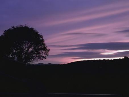 夕陽 夕焼け,夕日,夕陽の写真素材
