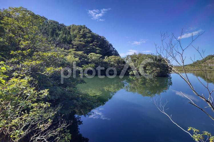 綺麗な青空と湖面に映る木々 湖,青空,リフレクションの写真素材