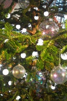 クリスマスの飾り クリスマスの飾り クリスマス,背景,ガーデニングの写真素材