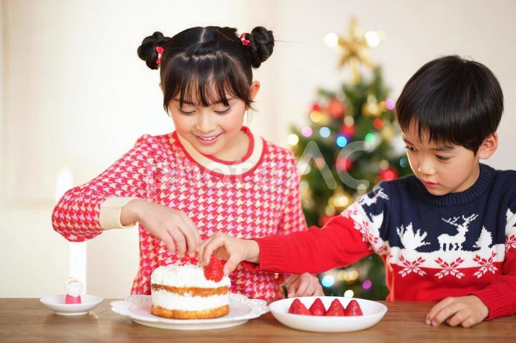 ケーキにイチゴをのせる子供たち 男女,クリスマス,ケーキの写真素材
