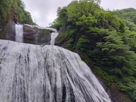 袋田の滝 袋田の滝 滝,日本三名瀑,雨上がりの写真素材