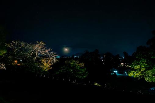 【島根】松江城からの夜景 松江,島根,松江城の写真素材
