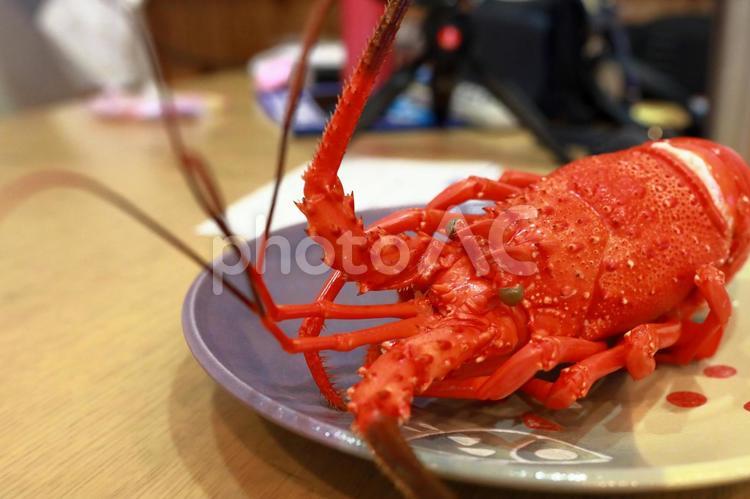 調理されたイセエビ8　伊勢海老 イセエビ,伊勢海老,海老の写真素材