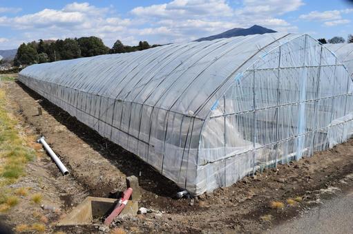 農業用ビニールハウス 茨城県 農業用ビニールハウス,農業用ハウス,農業ビニールハウスの写真素材