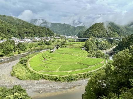 和歌山 あらぎ島 A 和歌山 あらぎ島 A あらぎ島,棚田,田んぼの写真素材