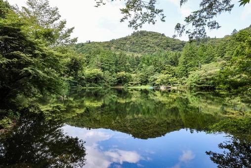 夏の雲仙 白雲の池 夏の雲仙 白雲の池の写真