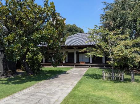 天王寺 天王寺の写真