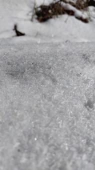 積雪とキラキラ 積雪とキラキラの写真