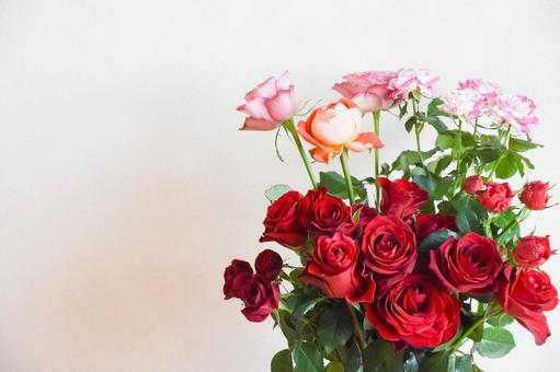 カラフルな薔薇 カラフルな薔薇の写真