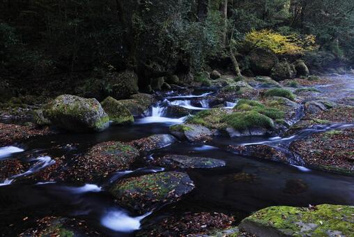 菊池渓谷 菊池渓谷,菊池川,光芒の写真素材