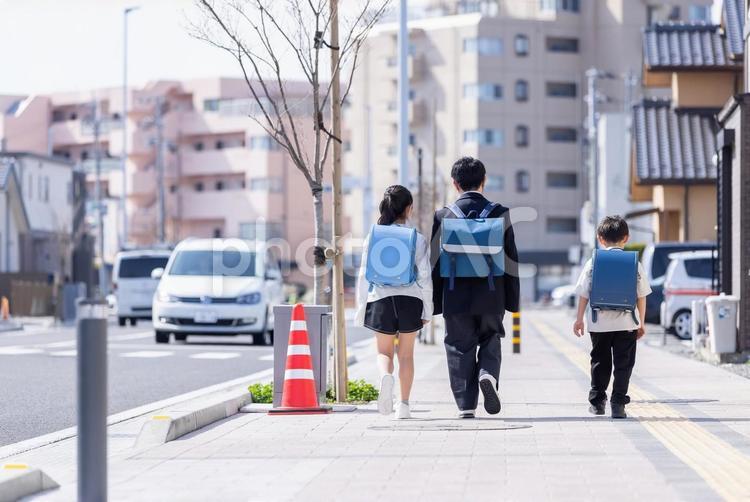 登下校する小学生 子ども,登校,中学生の写真素材