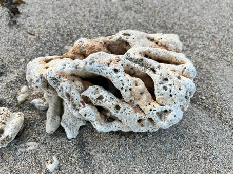 砂浜 石 砂浜 石の写真