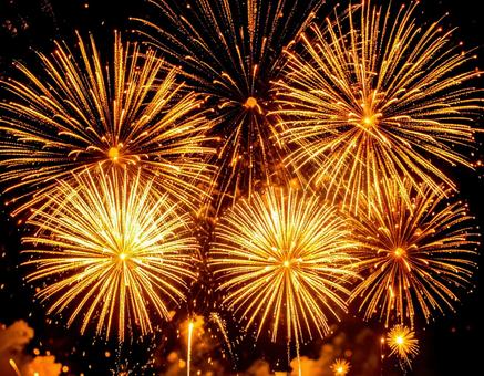 夏の夜空を彩る大輪の花火 夏の夜空を彩る大輪の花火の写真