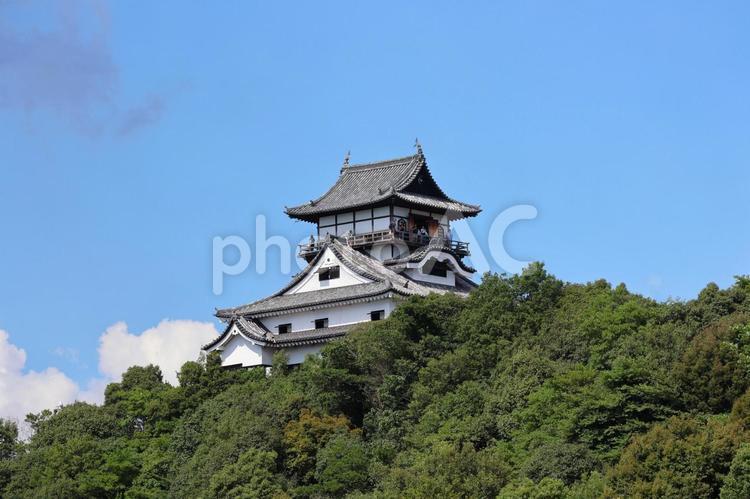 ７月下旬の国宝犬山城の天守 犬山城,天守,城の写真素材