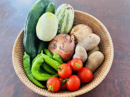 家庭菜園の恵み 色とりどりの野菜たち 家庭菜園の恵み 色とりどりの野菜たち マクワウリ,ししとう,トマトの写真素材
