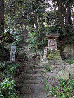 茨城 大甕神社境内 茨城 大甕神社境内 日本,美しい,風景の写真素材