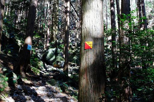 登山道の道案内の看板の写真