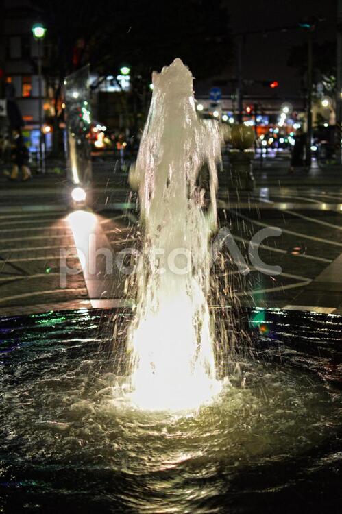下からライトアップされた夜の噴水 ライトアップ,夜,噴水の写真素材