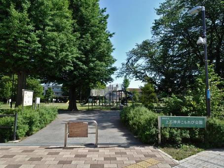 練馬区立上石神井こもれび公園 練馬区立上石神井こもれび公園の写真