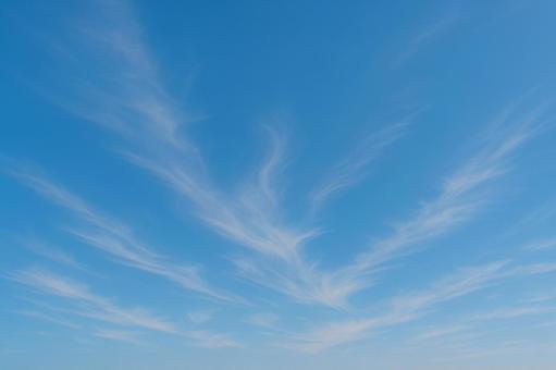 秋空に広がる巻雲 秋空に広がる巻雲の写真