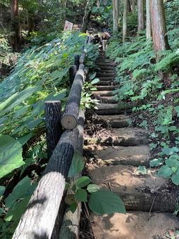 登山道 山道 林間コース 林床 階段 登山道 山道 林間コース 林床 階段の写真