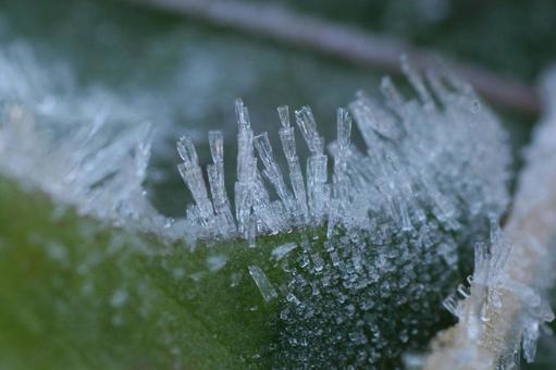 frost, JPG
