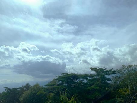 雲が広がる空と高原の樹木 雲が広がる空と高原の樹木 空,雲,青空の写真素材