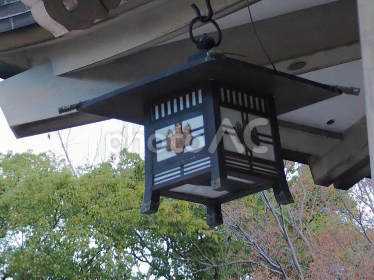 大阪　豊國神社　吊灯籠 大阪,豊國神社,吊灯籠の写真素材