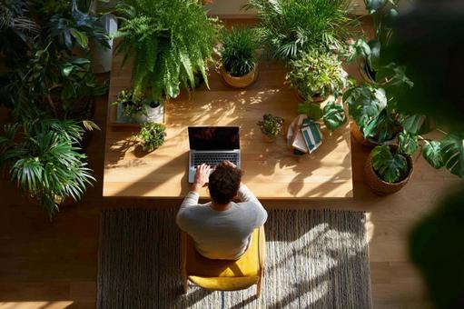 A relaxing space where you can work while feeling nature, home office, remote work, in the house service, JPG