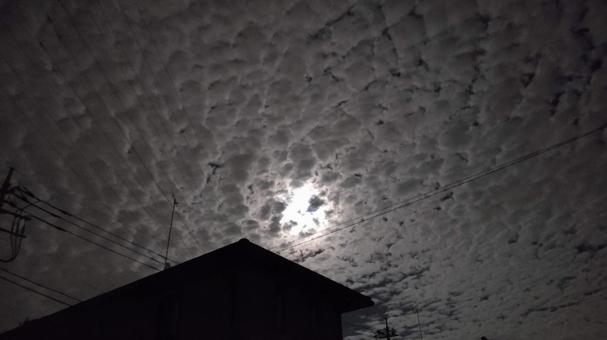 月夜 月夜の写真