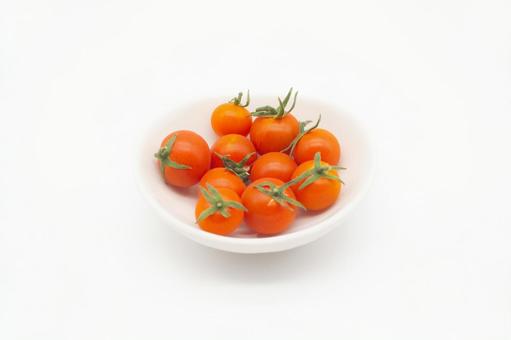 プチトマト1 プチトマト1の写真