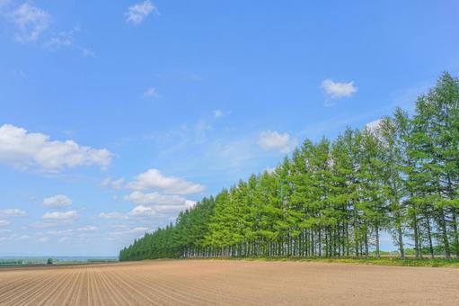 Photo, ziemia, błękitne niebo, chmura, 