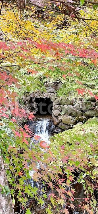 山の中の小さい滝 自然,秋,山の写真素材
