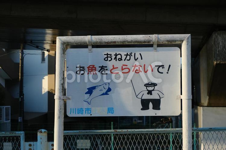 おねがい　お魚をとらないで！看板 看板,川崎市,お願いの写真素材
