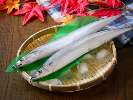 生秋刀魚.2 生秋刀魚.2の写真