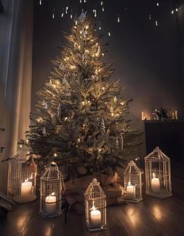 クリスマスツリー(ポスター用) クリスマスツリー,クリスマス,ツリーの写真素材