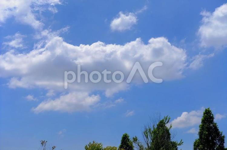青空と雲 青空,雲,自然の写真素材