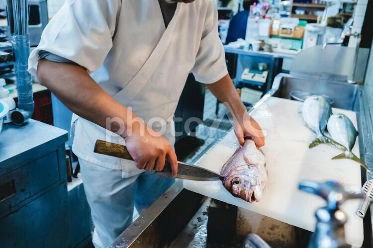 魚を捌いて調理している様子 魚,調理,料理の写真素材