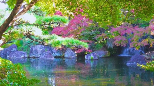 姫路城 好古園7 紅葉,秋,姫路城の写真素材