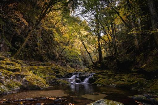 三重-【赤目四十八滝（紅葉）】 赤目四十八滝,赤目四八滝,川の写真素材
