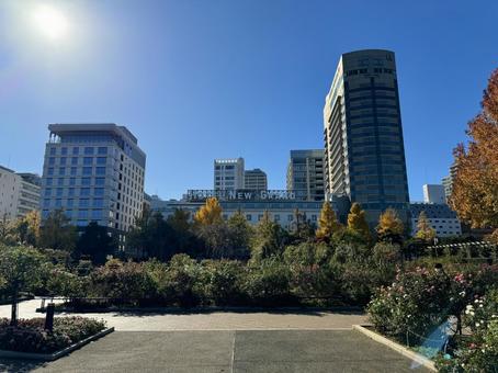 秋の山下公園とホテルニューグランド 秋の山下公園とホテルニューグランド 横浜,山下公園,ホテルニューグランドの写真素材