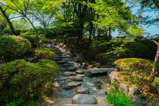 【和歌山】和歌山城 2025 【和歌山】和歌山城 2025 和歌山城,城,和歌山の写真素材