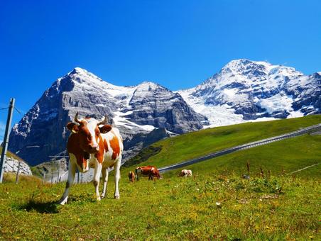 スイスの原風景 スイス,ユングフラウヨッホ,ヨーロッパの写真素材