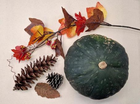 秋の味覚かぼちゃ_1 秋の味覚,秋,秋野菜の写真素材