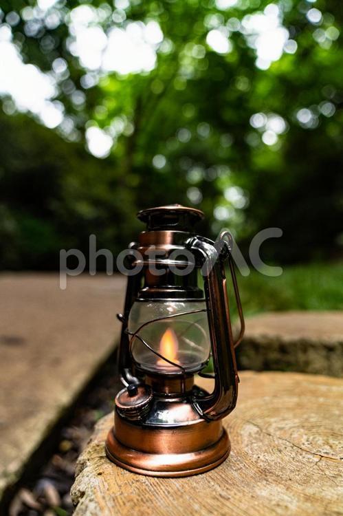 森林に置かれたアンティークランタン ランタン,カンテラ,グランピングの写真素材