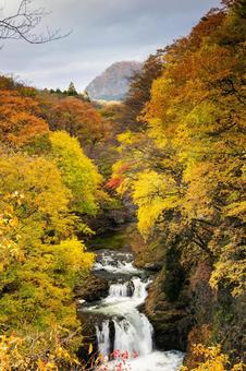 秋の鳳鳴四十八滝(21) 秋,紅葉,滝の写真素材