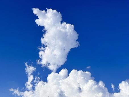 【風景写真】夏空 【風景写真】夏空の写真