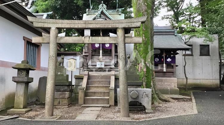 下北沢にある北澤八幡神社の風景 下北沢,神社,風景の写真素材