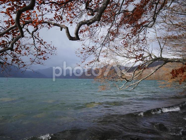 秋の湖畔　中禅寺湖 湖,湖畔,曇天の写真素材