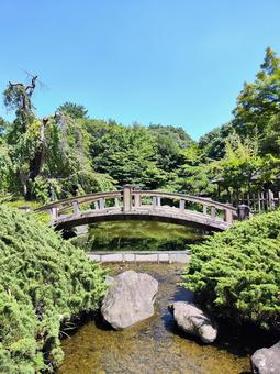 庭園の太鼓橋 庭園の太鼓橋 太鼓橋,日本庭園,小川の写真素材